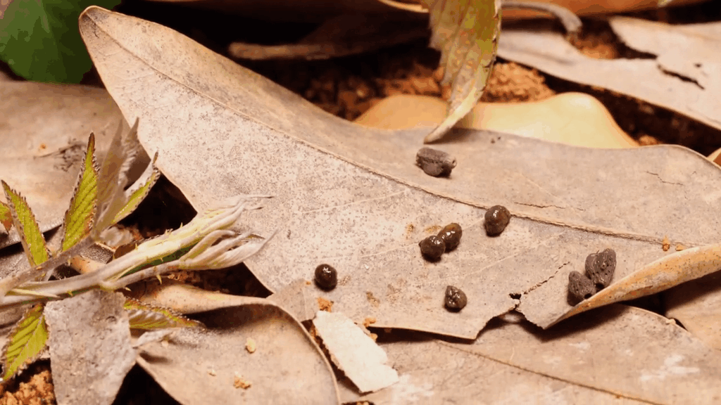 Источник: youtube.com