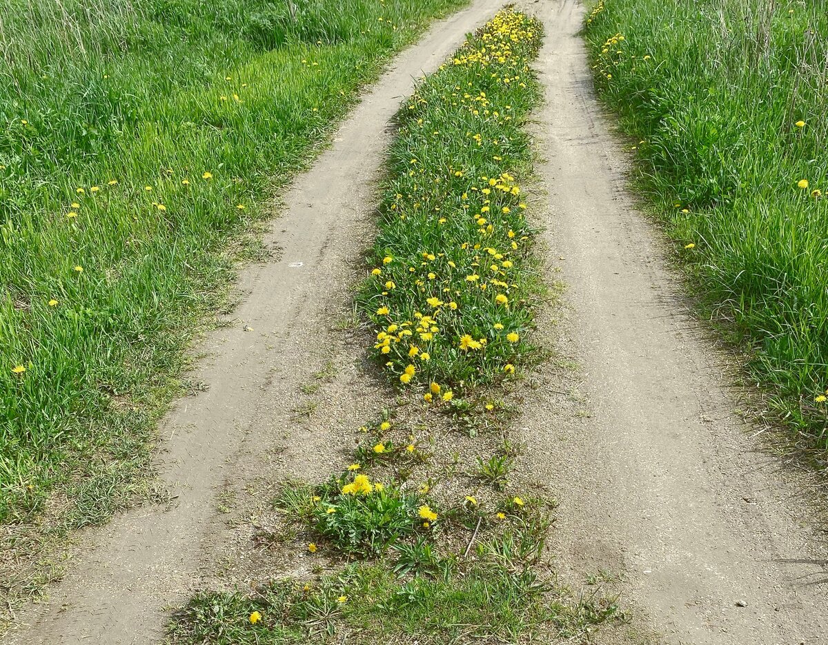 Подписывайтесь и будем дружить) 