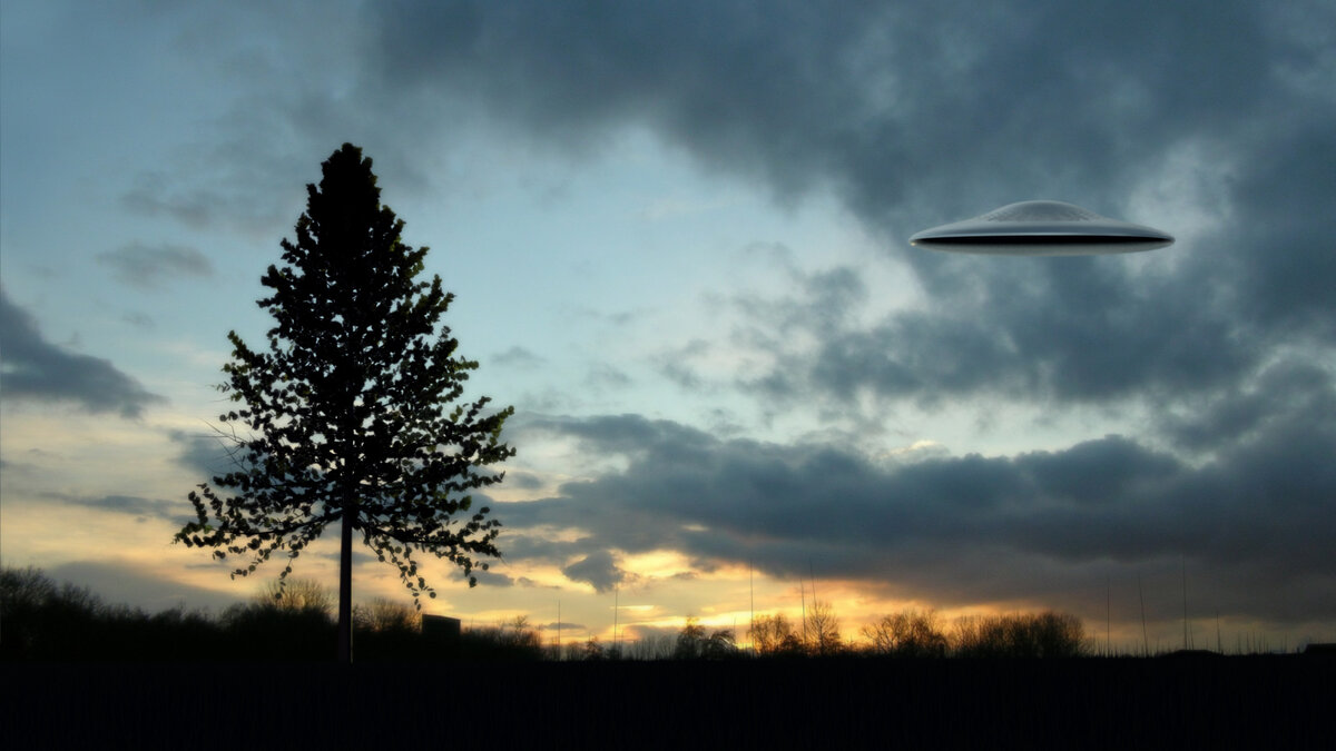 Nlo 5utra chapman зима. тарелка нло. 305 казарма всу. Nlo 5utra chapman зима.