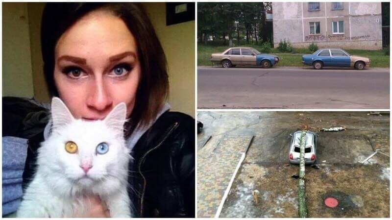 Картинка из открытого источника Яндекс