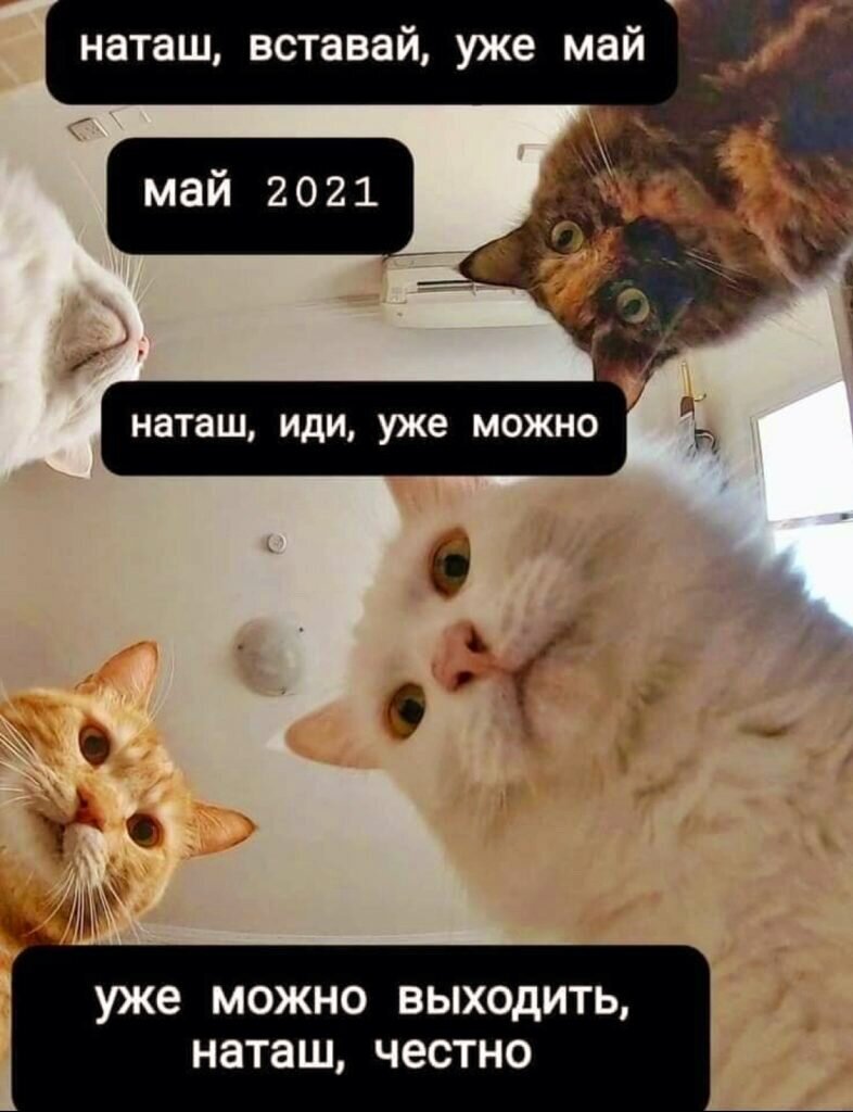 источник - Яндекс.Картинки