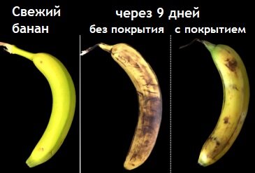 Фото из опубликованных материалов Cambridge Crops