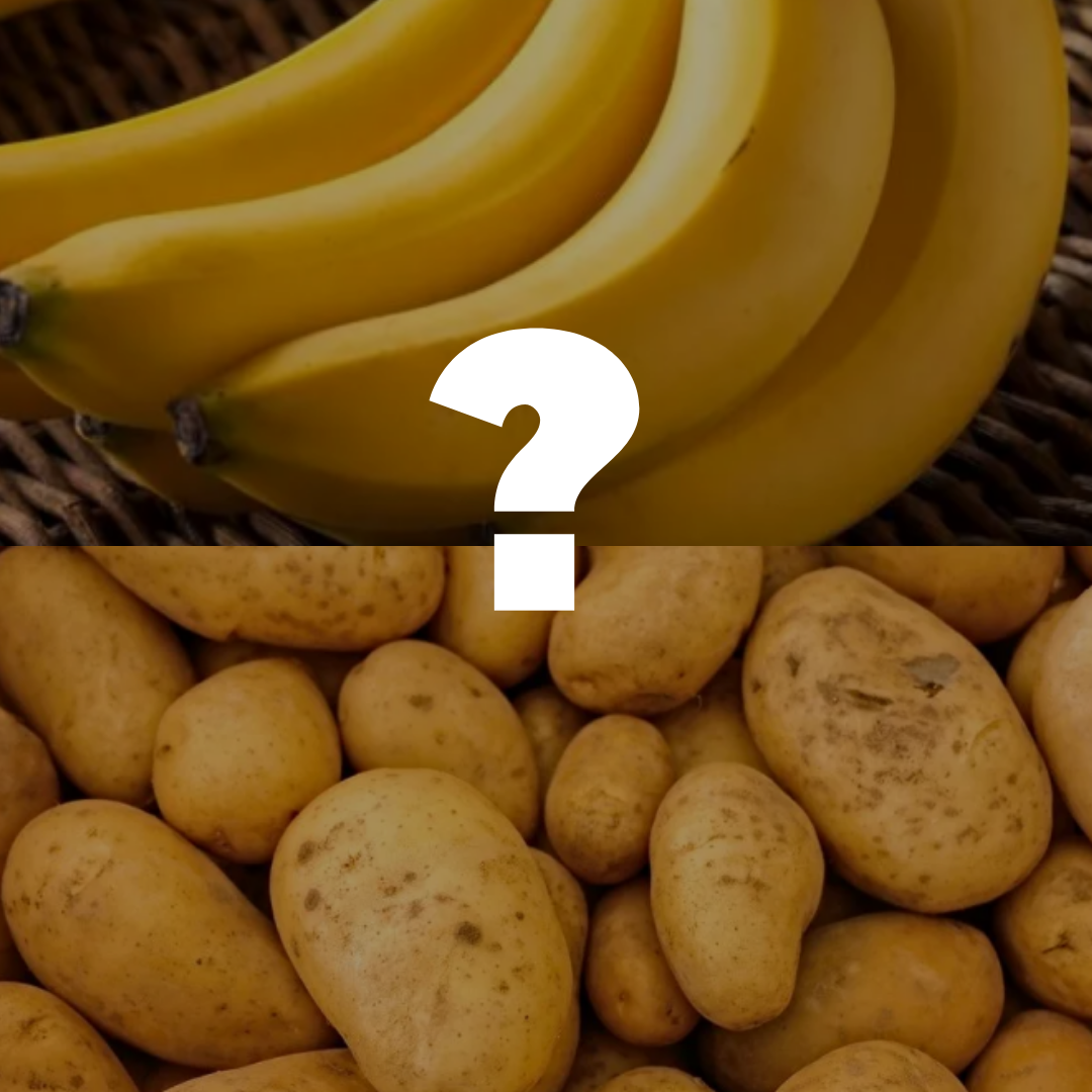 Любимые продукты наших органов это .....