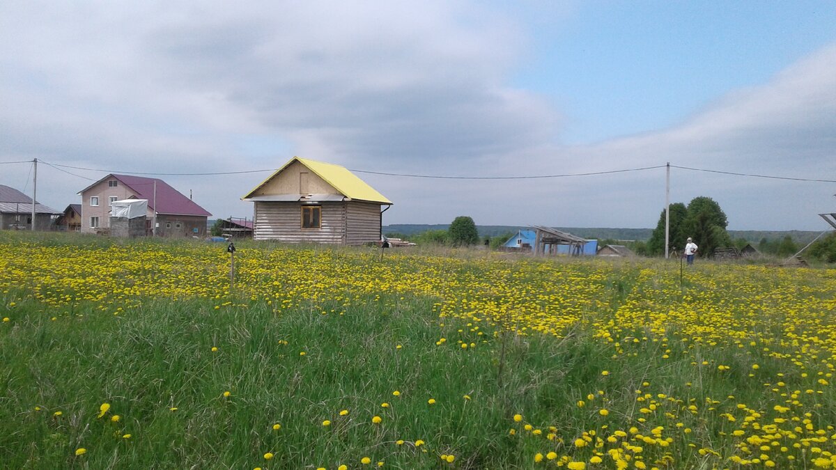 В деревню на ПМЖ. Часть 5. С чего начать освоение участка?