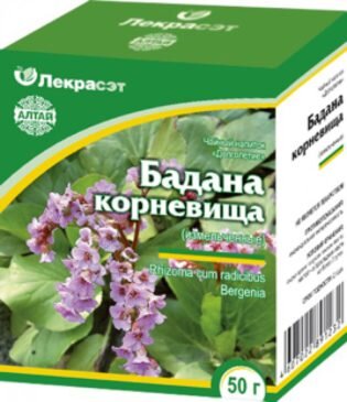 Бадан используется в народной медицине. Траву можно купить в любой аптеке.