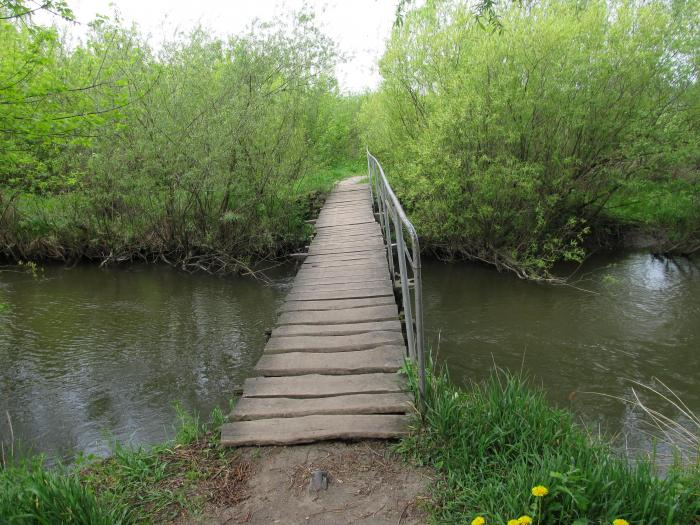 Фото взято из открытых источников Интернета