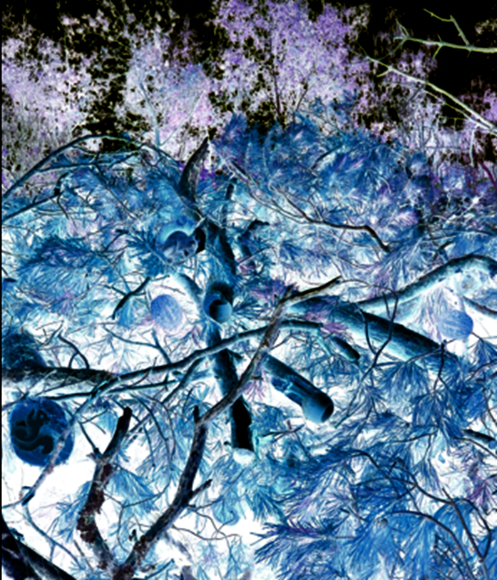 Авторский тест на внимательность