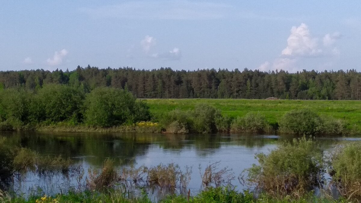 Уровень воды заметно поднялся после дождей