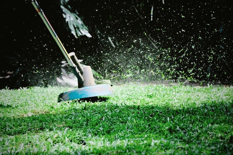 Покос сырой травы