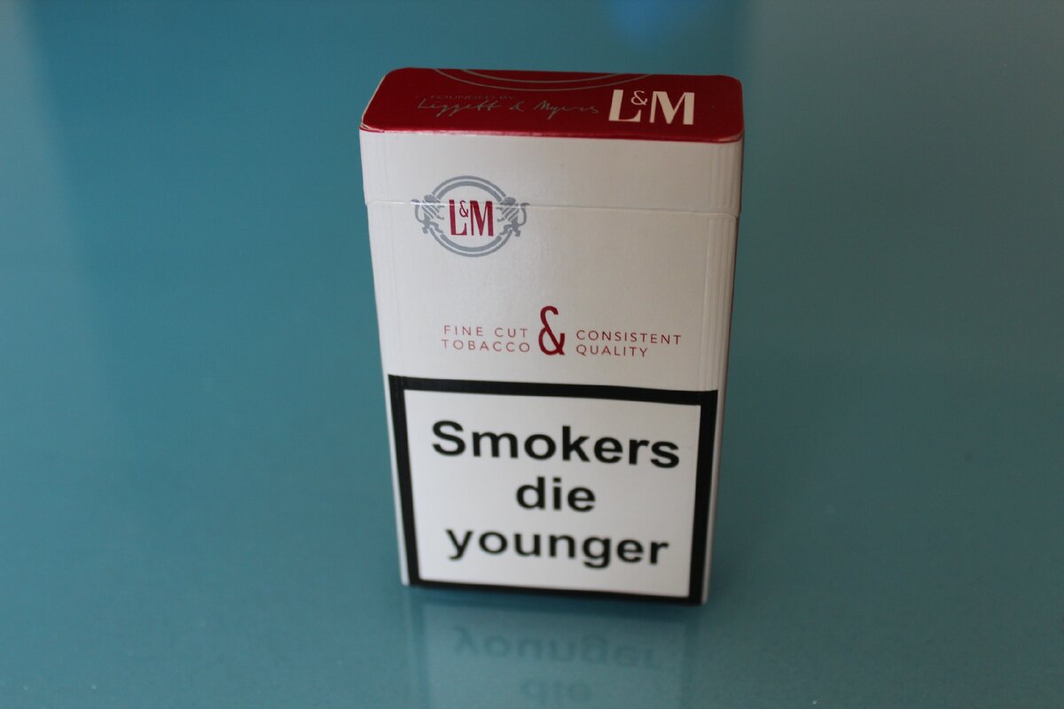 фото Arti-всем обо всем