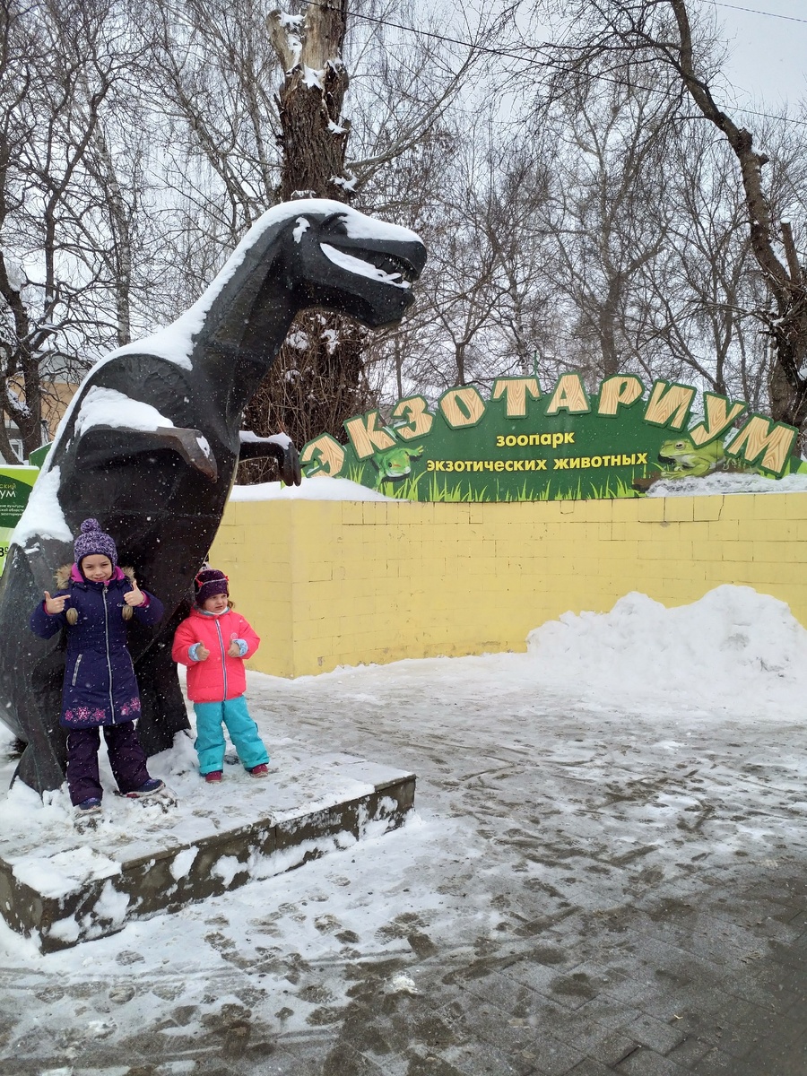 Собственно сам вход 