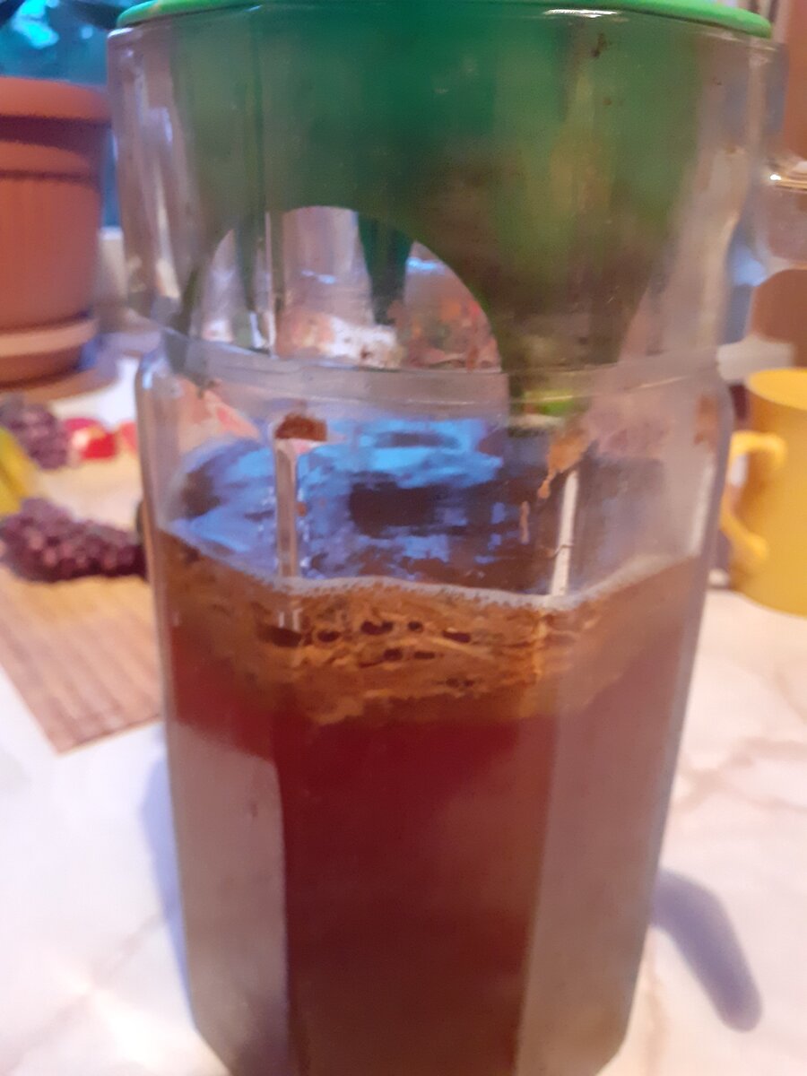 Это мой чайный гриб. @Food Diet