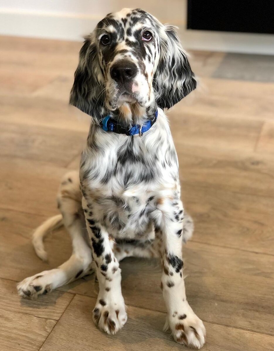 Фото взято из Pinterest