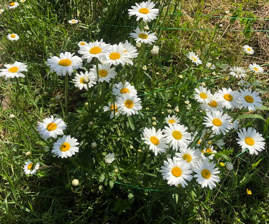 личное
