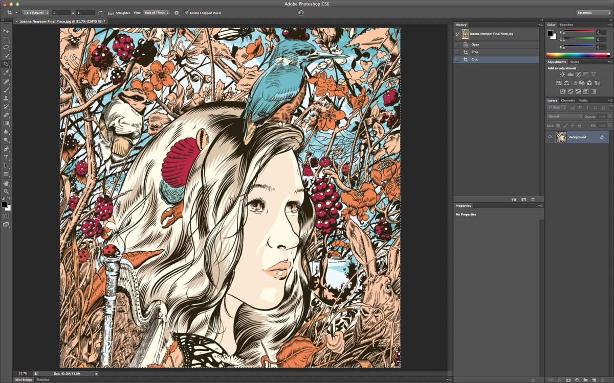 Внешний вид Photoshop