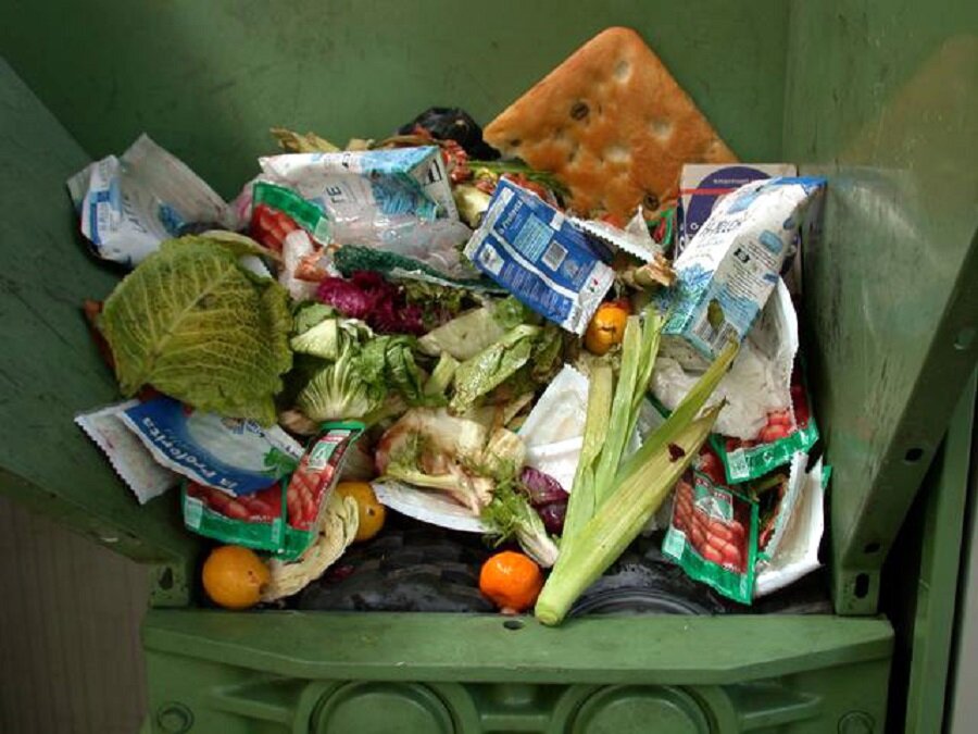 Пищевые отходы утилизация. Продукты в мусорке. Пищевые отходы на свалке.