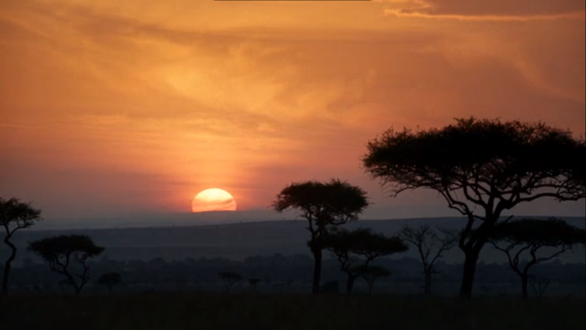 Начало фильма