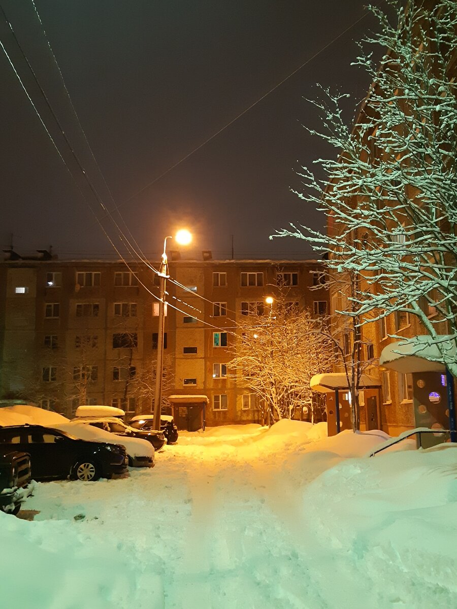 Снег и ночь