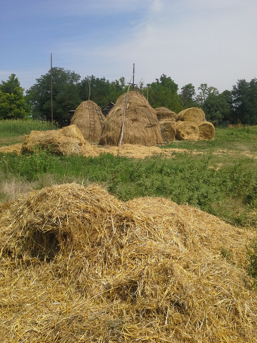 фото из личного архива