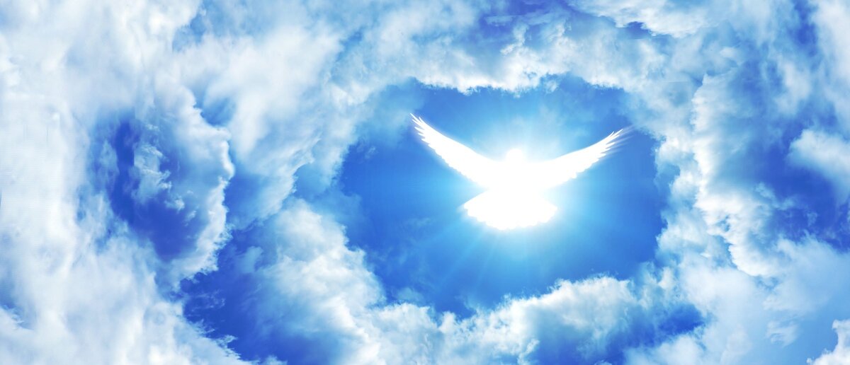 фото взято из Яндекс картинки.