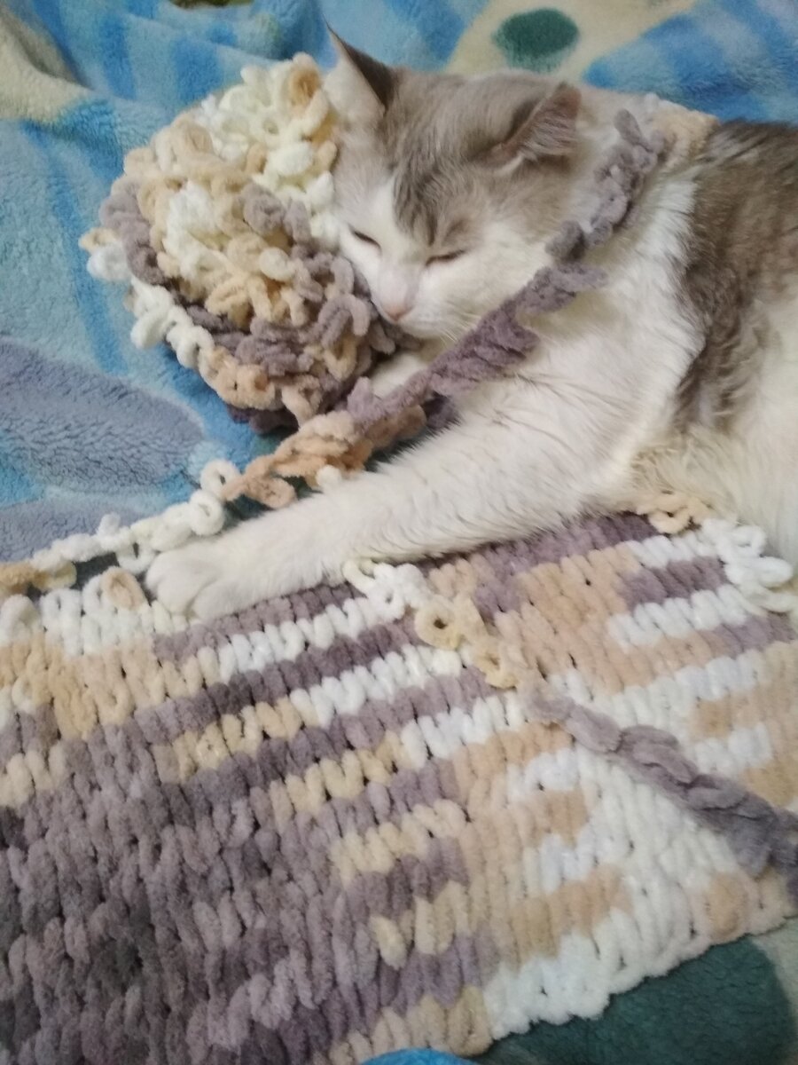 Личный архив (Лёлик оценил плюшевые нитки)