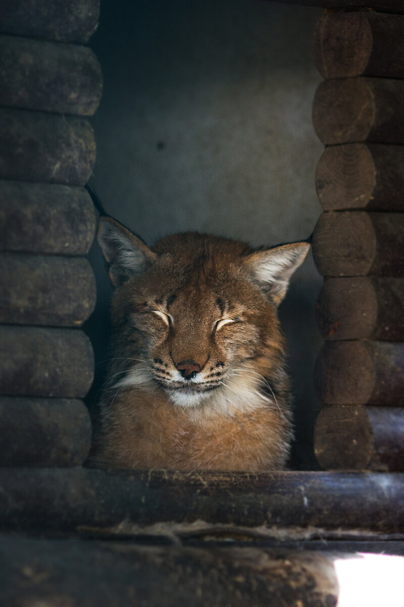 Фото Юлии Шведовой