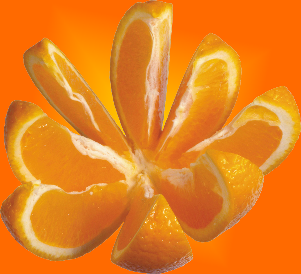 Мы делили апельсин. Долька апельсина. Разделить апельсин. Апельсин по долькам. Считалка апельсин