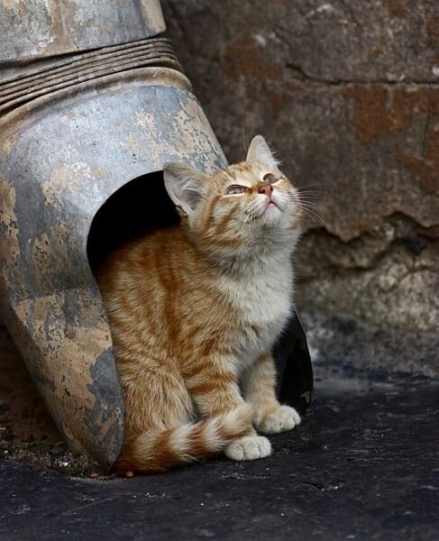 фото использовано в качестве иллюстрации. Источник "Яндекс.Картинки"