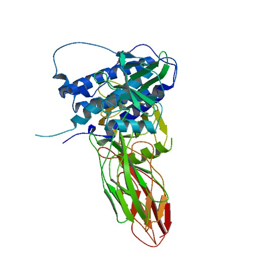 Структурная формула эритропоэтина