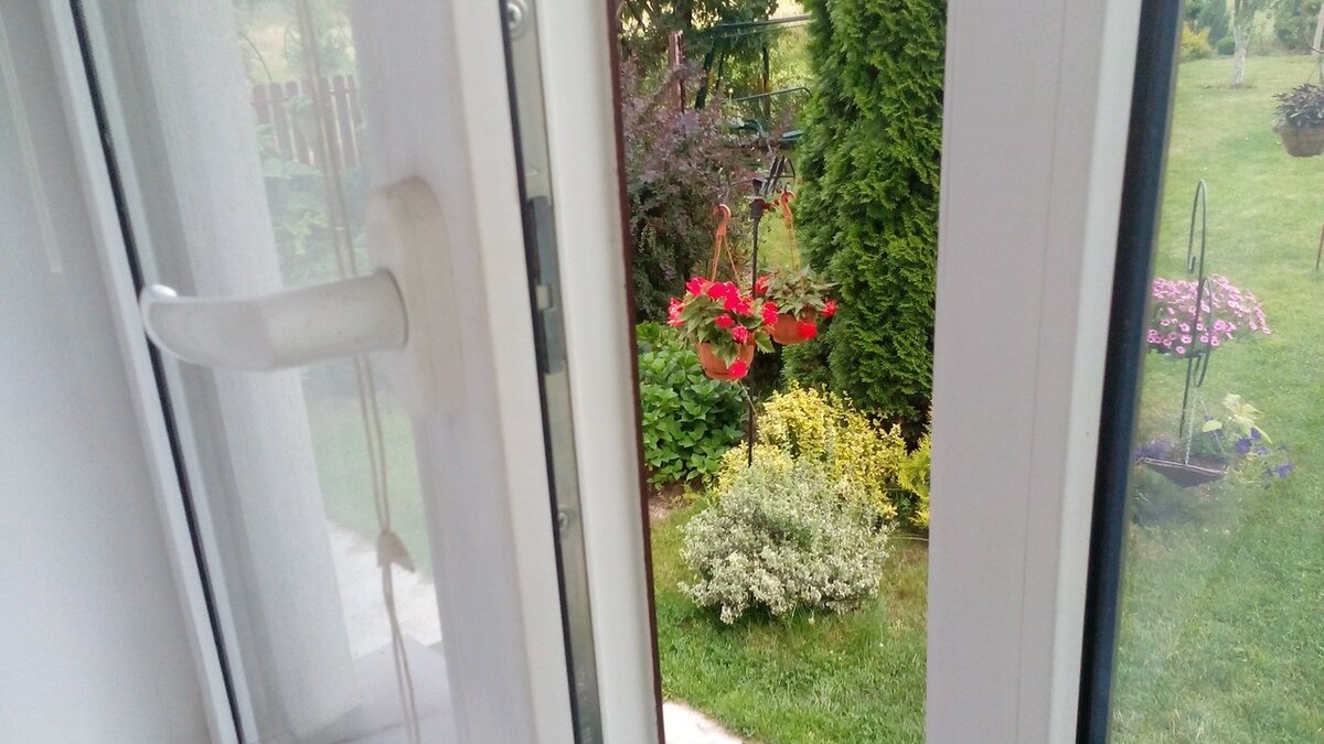 Окно. Фото автора