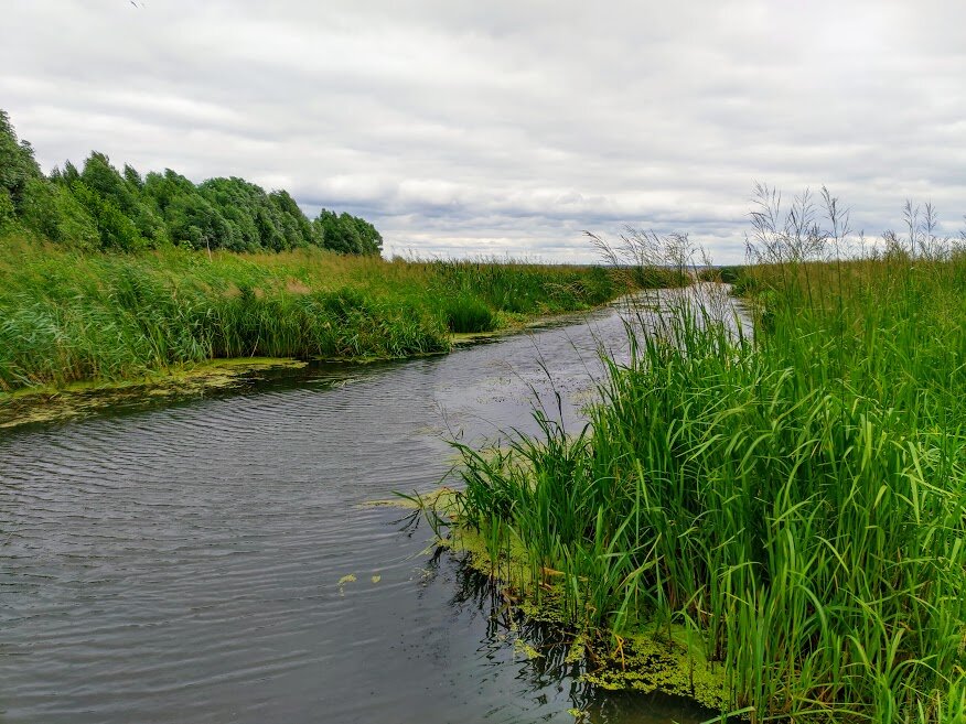 из личного архива