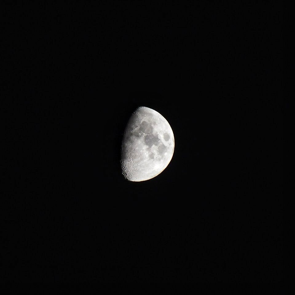 Moon🌙
