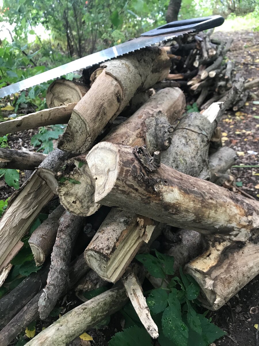 Я спилила большое сухое дерево на огороде и напилила дров. Чуть не сдохла.