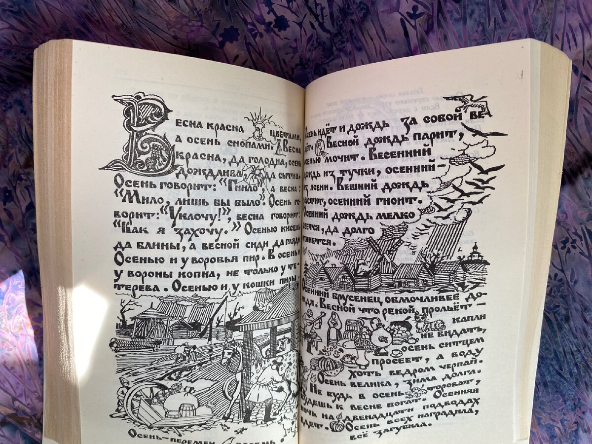 Читать книгу подаренная