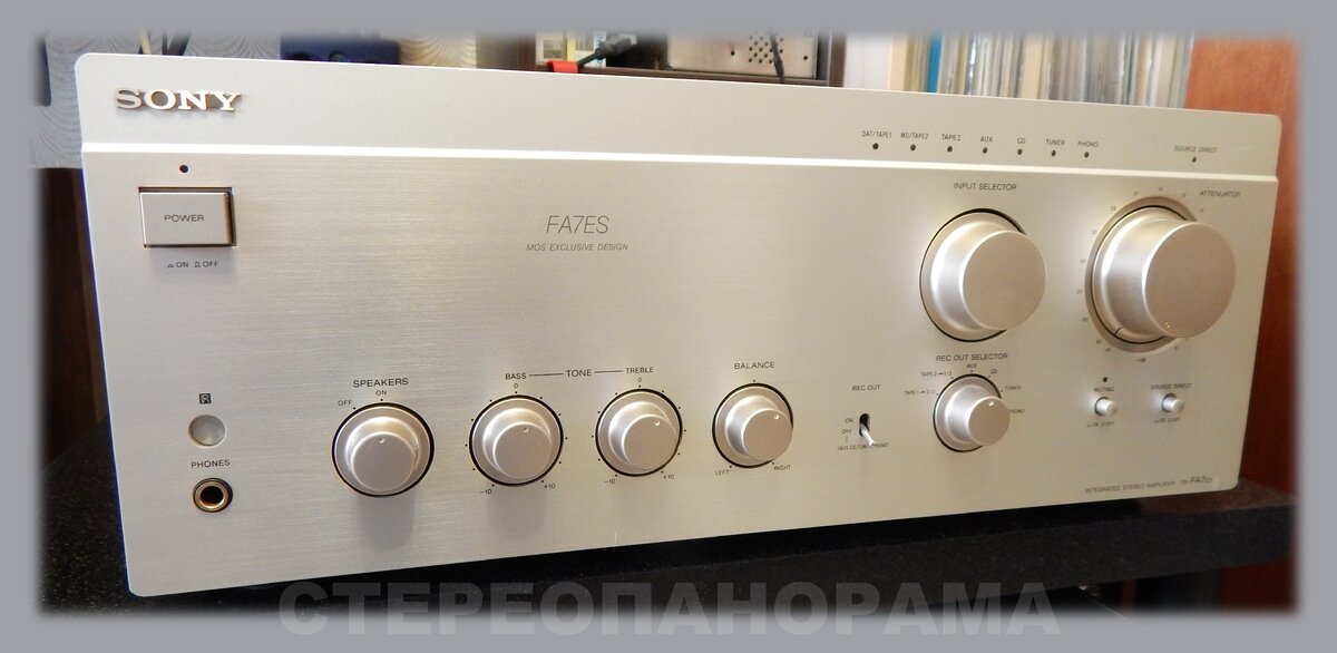 Фото автора.