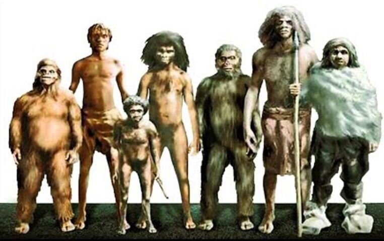 Биологические виды и подвиды рода Люди