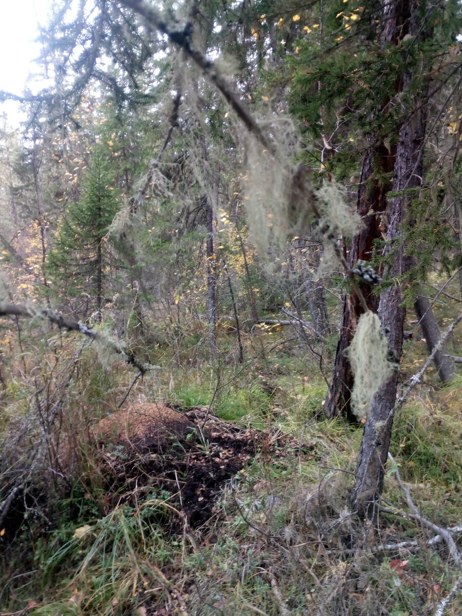 фото из личного архива автора