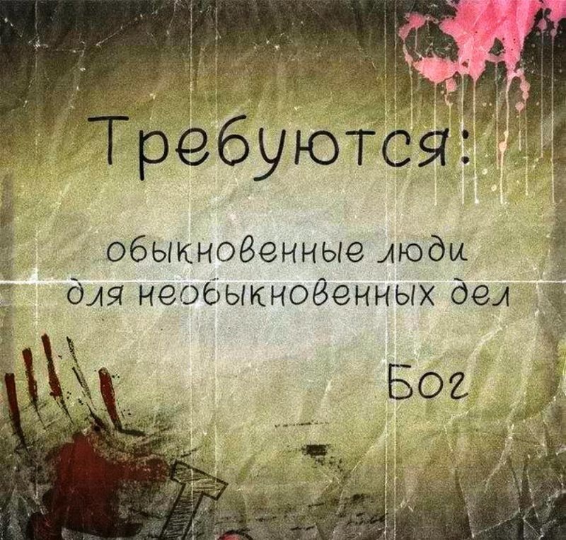 Именно обыкновенные... не приписывайте им и не ждите от них того, чего у них нет...
