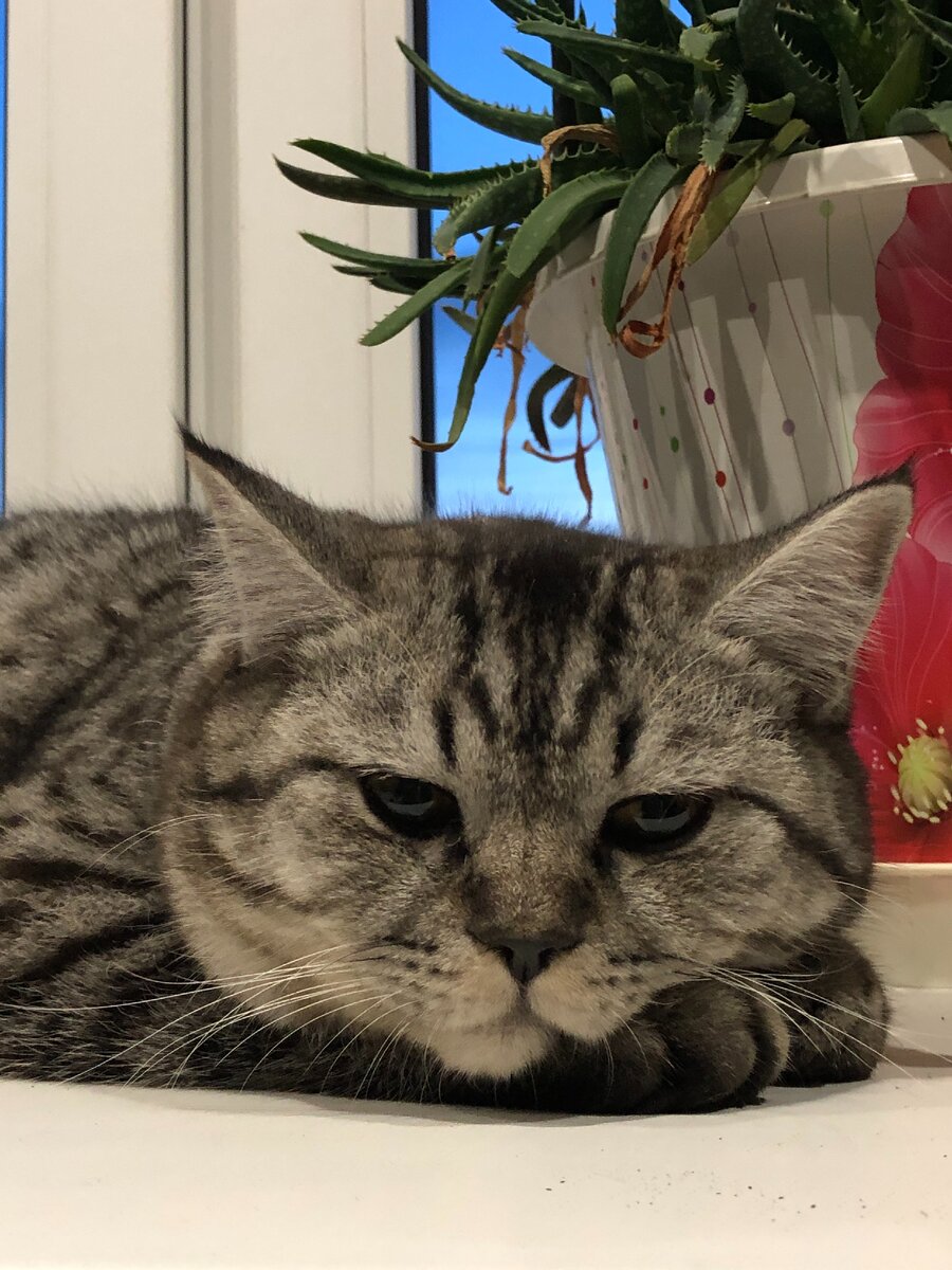 Личный архив