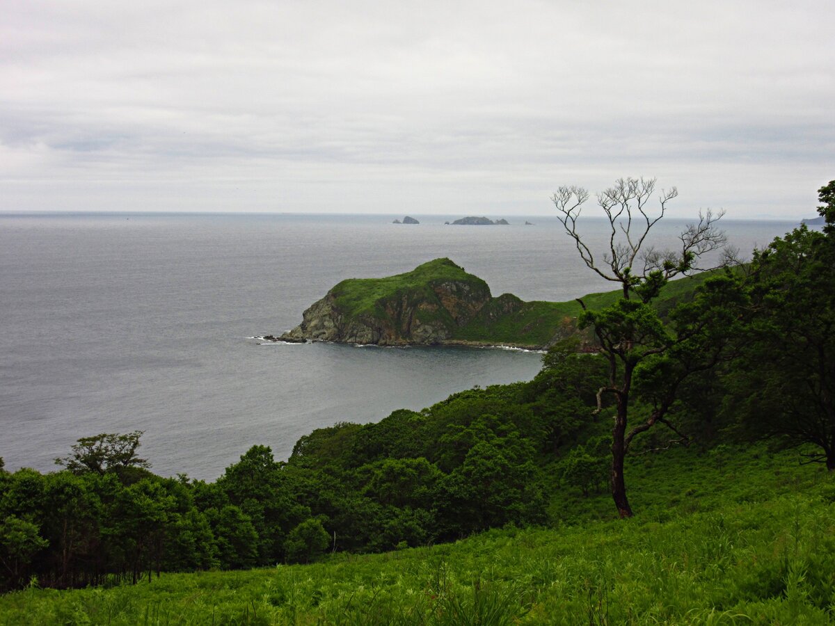 Остров Путятин. Путятин в Японии. Остров напротив острова Путятина.