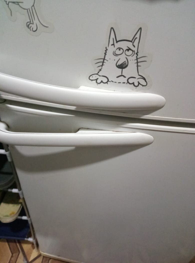 У нас даже на холодильнике указано - что он для котов! 