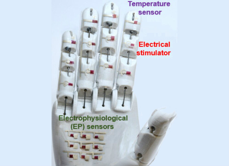 Умный резиновый полупроводник исследователей может быть использован на многих мягких растягивающихся электронных устройствах, таких как эта медицинская роботизированная рука.