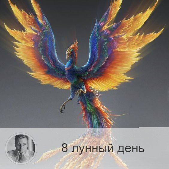Подписывайтесь и ставьте 👍
8-ой лунный день с 12:58 21-ого по 13:08 22-ого. 🔆 Время усвоения энергии и информации.
🐤 Символ дня – птица феникс.
🎂 Люди, рождённые в этот лунный день, прирождённые алхимики, которые могут сгорать и возрождаться, как птица Феникс.
💍 Камень – хризолит.
🌞 В этот день в организме очень активно протекают биохимические процессы и происходит усвоение того, что произошло с человеком в первые 7 дней лунного месяца. Помните, что завтра критический день, а накануне плохого дня лучше отдохнуть, расслабиться, отвлечься от проблем. Если вдруг вас одолеет тоска, апатия, захлестнет поток мрачных мыслей (накануне не благоприятного дня это может случиться), то оптимально будет принять тёплую ванну с экстрактом хвои и берёзы.
✅ Рекомендуемые практики: покаяние, приготовление лекарства, чистка желудка.
В этот лунный день хорошо каяться, исповедаться, причащаться. Можно готовить лекарства, травяные смеси. так как они будут обладать максимальным эффектом. Необходимо есть только лёгкую пищу, злаки, рыбу, хорошо сегодня чистить желудок.
❌Запрещено: игра с огнём.
Не рекомендуется проводить практики с огнём. Сегодня с ним надо быть осторожнее, так как он может выйти из-под контроля.
⭕️ Уязвимые органы: желудок, нервная система.
С 8-ым лунным днём связан желудок и периферийная нервная система. При неправильном использовании энергий дня могут появиться желудочный колики, внутренняя дрожь, могут гореть уши.
💤 Сны этого дня говорят о смысле жизни.