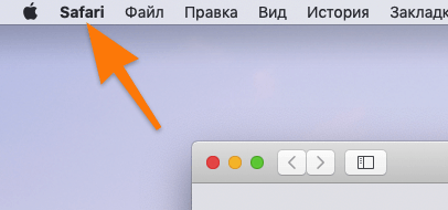Нужное нам меню так и называется — Safari