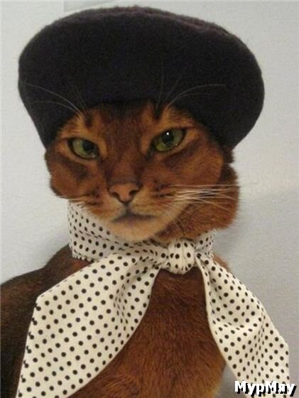 Здравствуйте я тетя Мотя