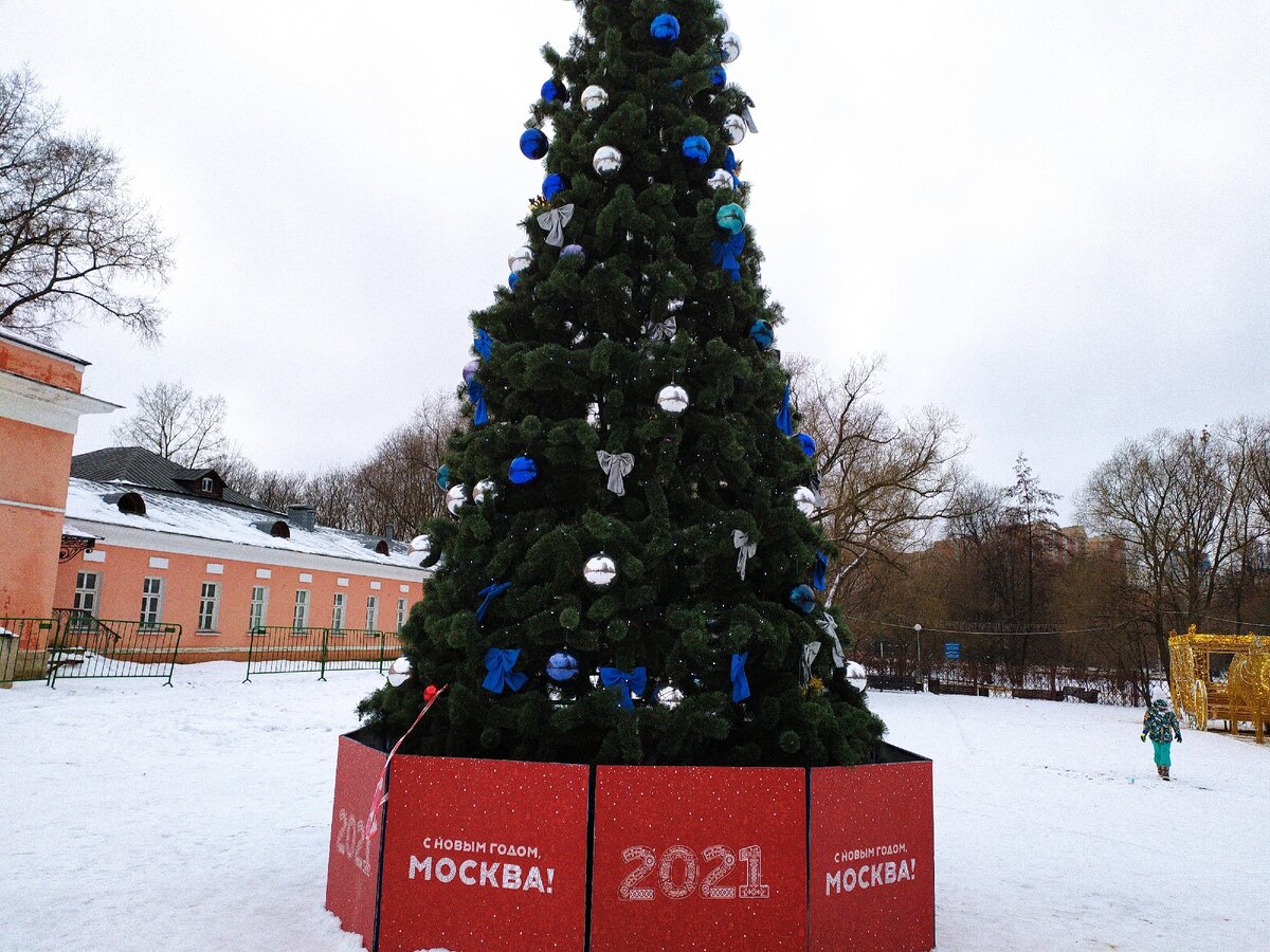 Новогодняя елочка(фото автора)