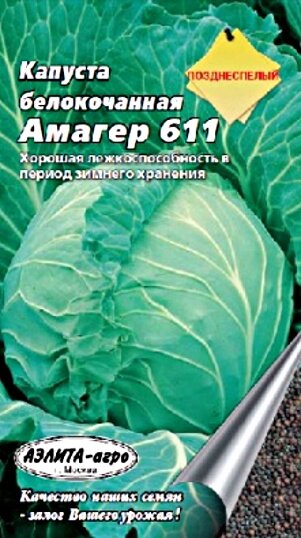 Капуста амагер описание сорта фото отзывы садоводов 4 сорта капусты на 2021 год, которые мне посоветовали для засолки и хранения: бу