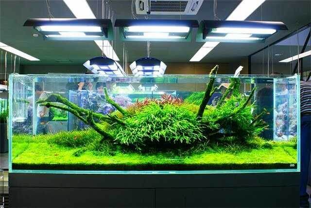открытый источник
