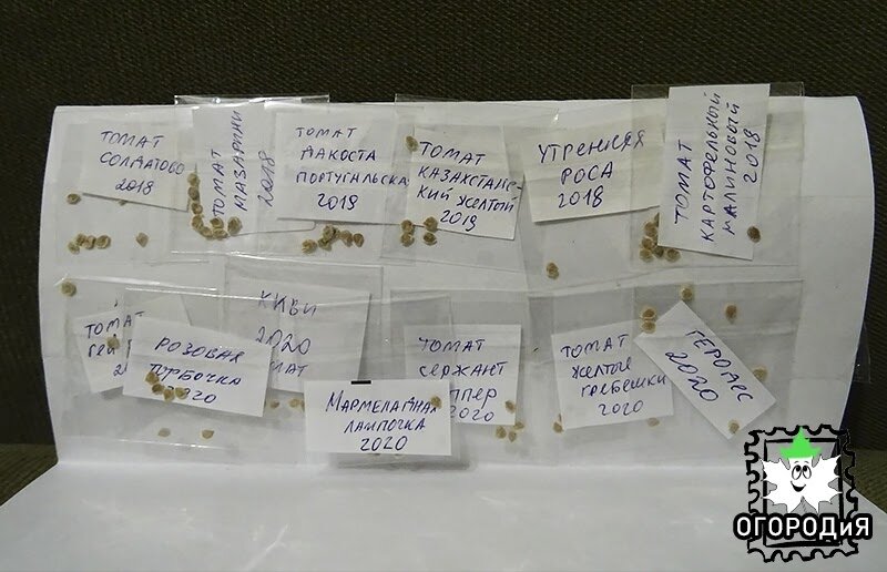 Семена от Елизаветы, Нижегородская область