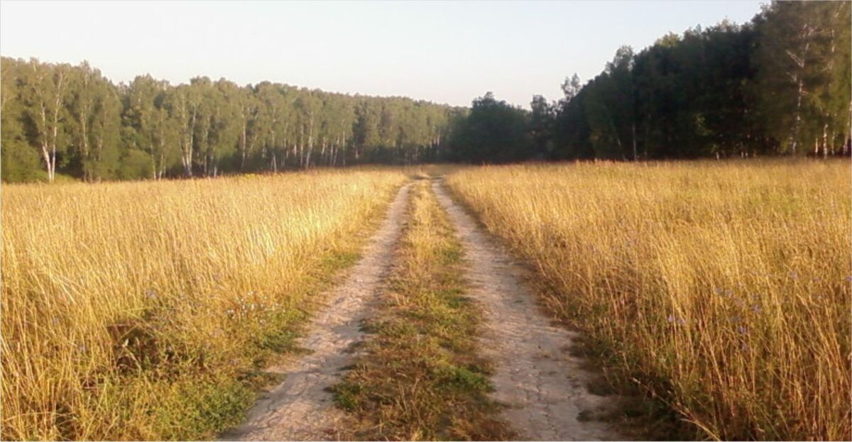 Деревенские просторы. Фото автора